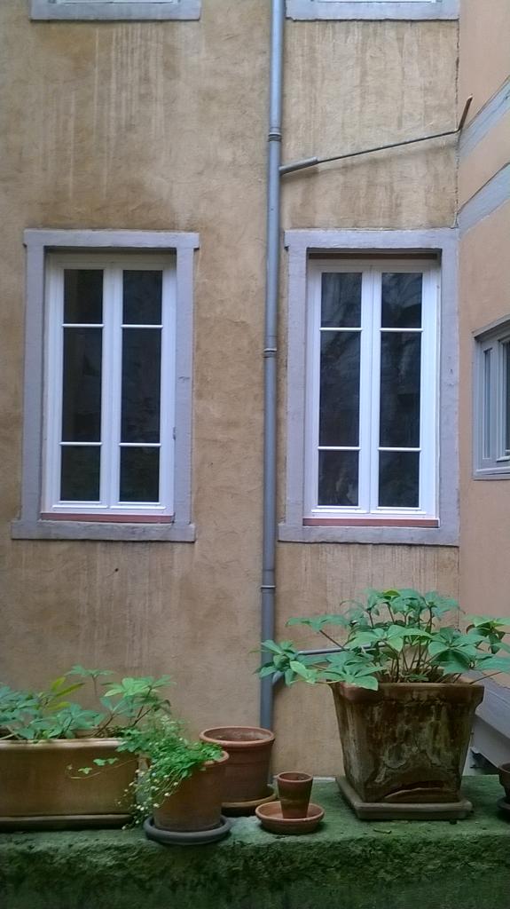 Fenêtre sur mesure - Bois